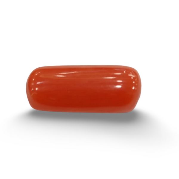 NaturalRed Coral | Certified| Capsule CutGemstone Summary No. IGCDKBAJ44968 image 0