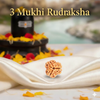 3 Mukhi Natural Rudraksha Premium – Certified Original Bead image 0
