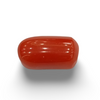 NaturalRed Coral | Certified| Oval CutGemstone Summary No. IGCDKBAJ44919 image 0