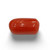 NaturalRed Coral | Certified| Oval CutGemstone Summary No. IGCDKBAJ44919 image 0