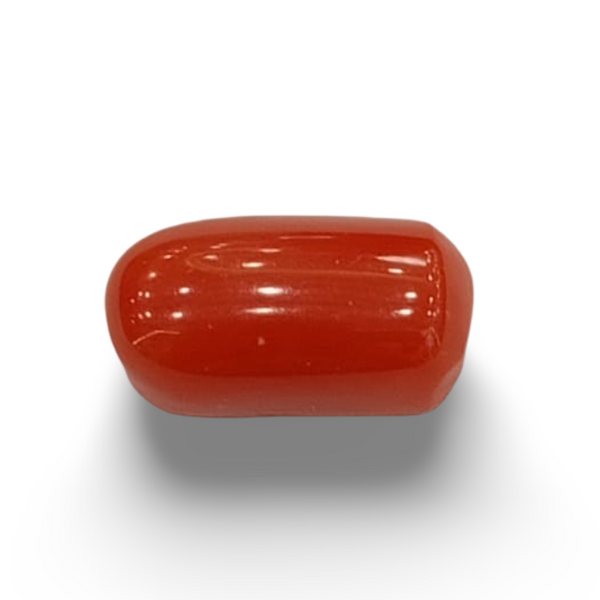NaturalRed Coral | Certified| Oval CutGemstone Summary No. IGCDKBAJ44919 image 0