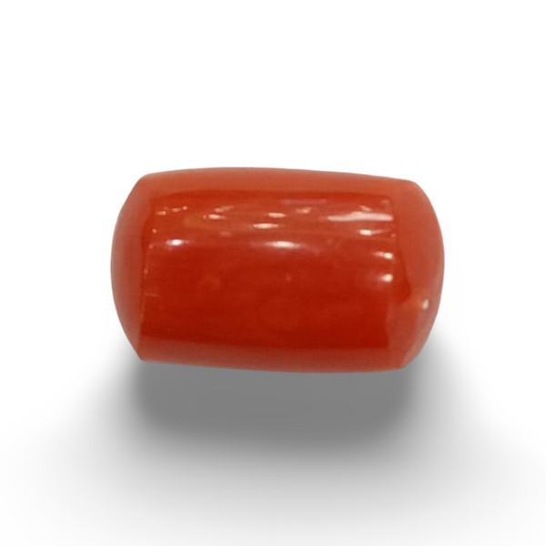 NaturalRed Coral | Certified| Oval CutGemstone Summary No. IGCDKBAJ44936 image 0