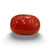Natural Red Coral | Certified | Oval Cut Gemstone Summary No. IGCDKBAJ57877 image 0