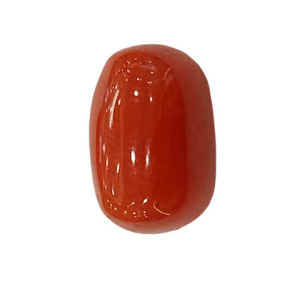 NaturalRed Coral | Certified| Oval CutGemstone Summary No. IGCDKBAJ44882 image 1
