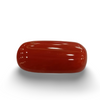Natural Red Coral | Certified | Oval Cut Gemstone Summary No. IGCDKBAJ47484 image 0