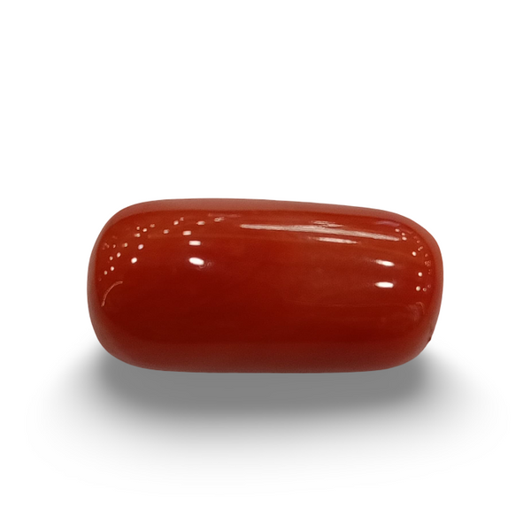 Natural Red Coral | Certified |Capsule Cut Gemstone Summary No. IGCDKBAJ44722 image 0