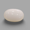 Natural White Coral (Safed Moonga) certified loose gemstone, report no. IGCDKBAJ41530