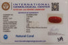 NaturalRed Coral | Certified| Oval CutGemstone Summary No. IGCDKBAJ44931 image 2