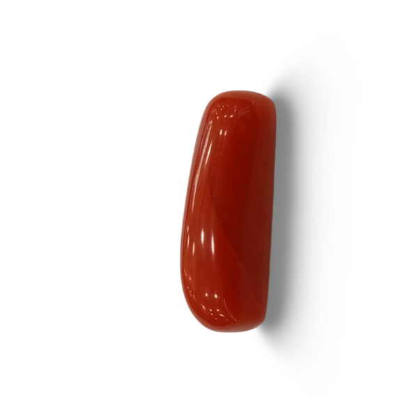 NaturalRed Coral | Certified| Capsule CutGemstone Summary No. IGCDKBAJ44861 image 1