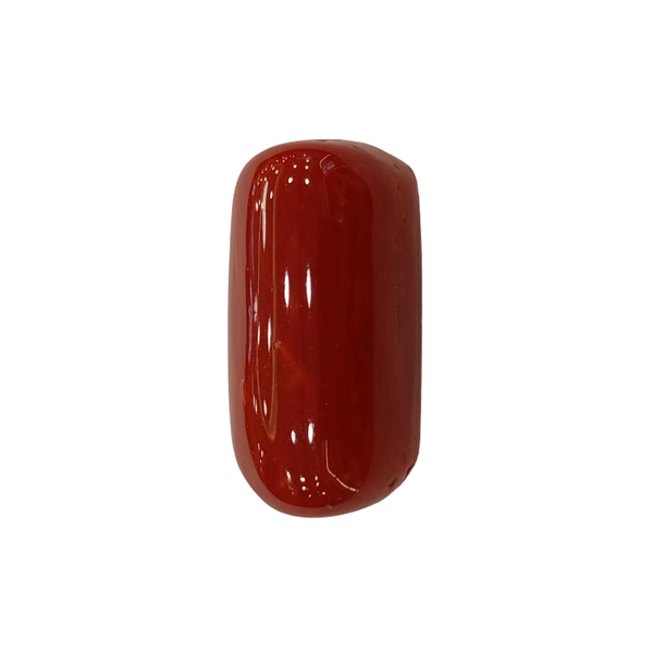 Natural Red Coral | Certified |Capsule Cut Gemstone Summary No. IGCDKBAJ44724 image 1