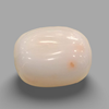 Natural White Coral (Safed Moonga) certified loose gemstone, report no. IGCDKBAJ41494