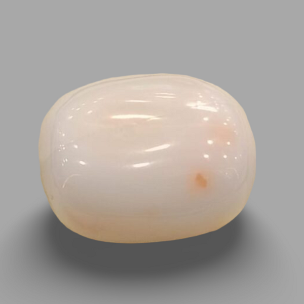 Natural White Coral (Safed Moonga) certified loose gemstone, report no. IGCDKBAJ41494