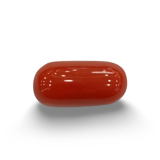 NaturalRed Coral | Certified| Oval CutGemstone Summary No. IGCDKBAJ44881 image 0