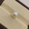 Natural South Sea Pearl – A Symbol of Elegance & Purity Summary No IGCDKBAJ42588 image 1