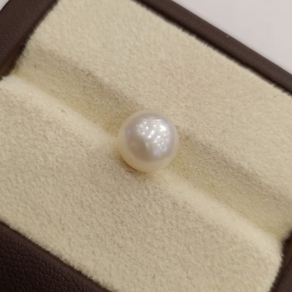 Natural South Sea Pearl – A Symbol of Elegance & Purity Summary No IGCDKBAJ42595 image 1