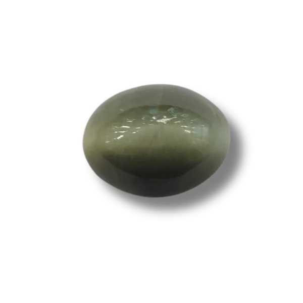 Natural Cat's Eye (Lehsunia) | 2H00 | Oval Cabochon | IGC Certified | Report No. SRGTL96633