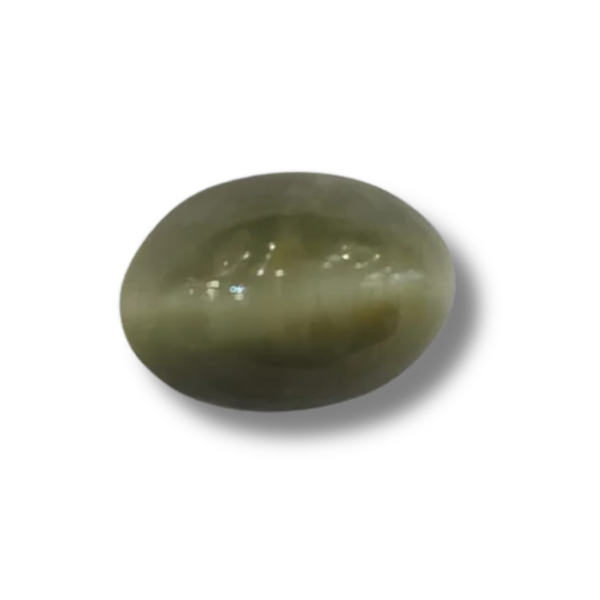 Natural Cat's Eye (Lehsunia) | 2H00 | Oval Cabochon | IGC Certified | Report No. SRGTL96609