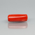 Natural Red Italian Coral |9H50| Cylindrical Specimen| Govt. Lab Certified | Report No. 12675D51972