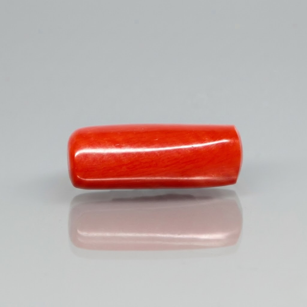 Natural Red Italian Coral |9H50| Cylindrical Specimen| Govt. Lab Certified | Report No. 12675D51972