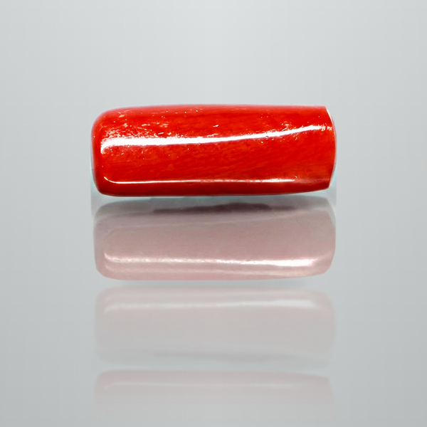 Natural Italian Red Coral (Moonga) cylindrical specimen, report no. 12675D51972