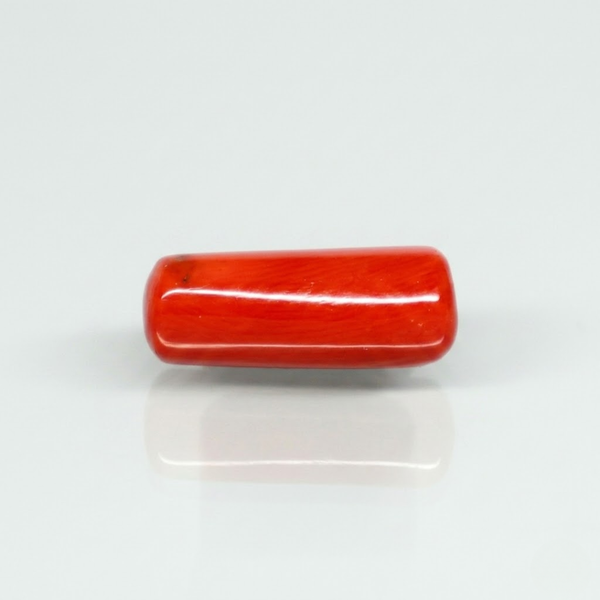 Natural Red Italian Coral |6H50| Cylindrical Specimen| Govt. Lab Certified | Report No. 12675D51973