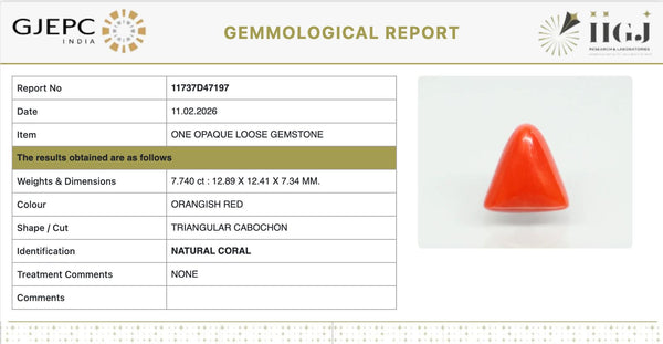 Natural Red Italian Coral | Triangular Cabochon | Govt. Lab Certified | Report No. 11737D47197