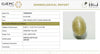 Natural Cat's Eye | Oval Cabochon | IIGJ Certified No.: 12859D52931