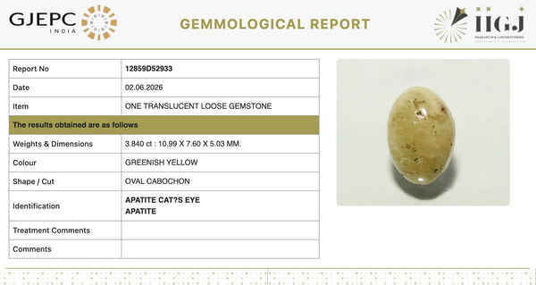 Natural Cat's Eye | Oval Cabochon | IIGJ Certified No.: 12859D52933