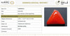 Natural Red Italian Coral |6H50| Triangular Cabochon | Govt. Lab Certified | Report No. 12939D53318