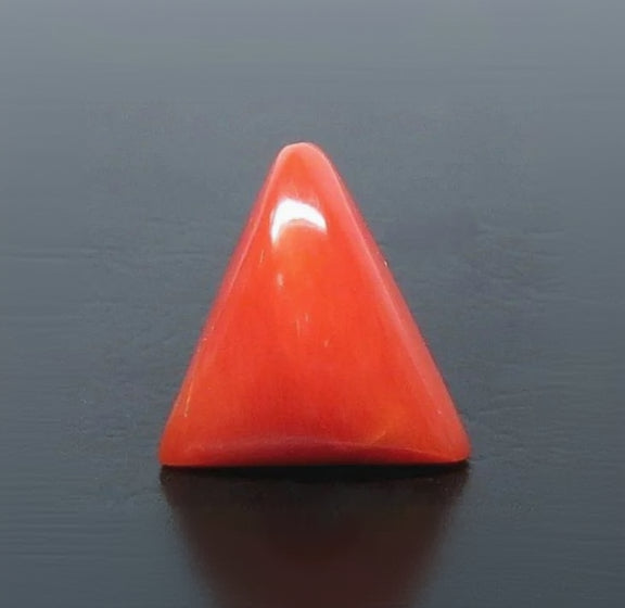 Natural Red Italian Coral |6H50| Triangular Cabochon | Govt. Lab Certified | Report No. 12939D53315