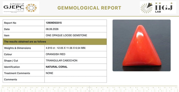 Natural Red Italian Coral |6H50| Triangular Cabochon | Govt. Lab Certified | Report No. 12939D53315