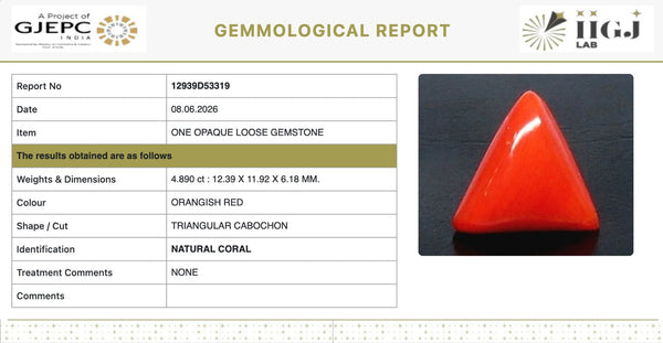 Natural Red Italian Coral |6H50| Triangular Cabochon | Govt. Lab Certified | Report No. 12939D53319