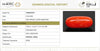 Natural Red Italian Coral |5H50| Oval Cabochon | Govt. Lab Certified | Report No. 12993D53475