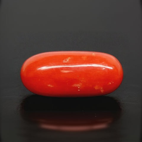 Natural Red Italian Coral |5H50| Oval Cabochon | Govt. Lab Certified | Report No. 12993D53475