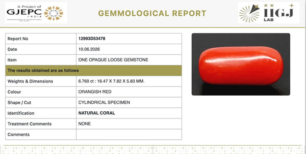Natural Red Italian Coral |6H50| Cylindrical Specimen | Govt. Lab Certified | Report No. 12993D53478