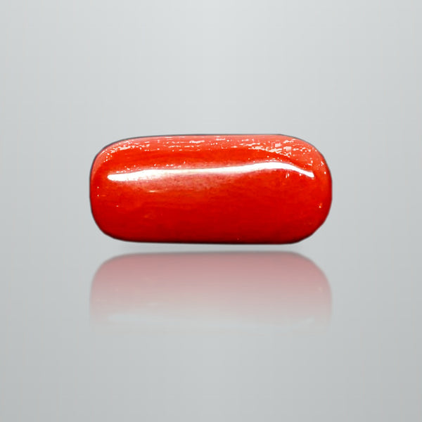 Natural Italian Red Coral (Moonga) cylindrical specimen, report no. 12993D53478