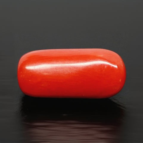 Natural Red Italian Coral |6H50| Cylindrical Specimen | Govt. Lab Certified | Report No. 12993D53478