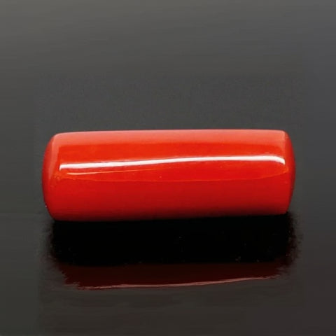 Natural Red Italian Coral |5H50| Cylindrical Specimen | Govt. Lab Certified | Report No. 12993D53474