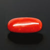 Natural Red Italian Coral |5H50| Oval Cabochon | Govt. Lab Certified | Report No. 12993D53472