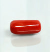 Natural Red Italian Coral |18H50| Cylindrical Specimen | Govt. Lab Certified | Report No. 12992D53457
