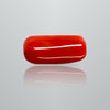 Natural Italian Red Coral (Moonga) cylindrical specimen, report no. 12992D53457