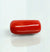 Natural Red Italian Coral |18H50| Cylindrical Specimen | Govt. Lab Certified | Report No. 12992D53457