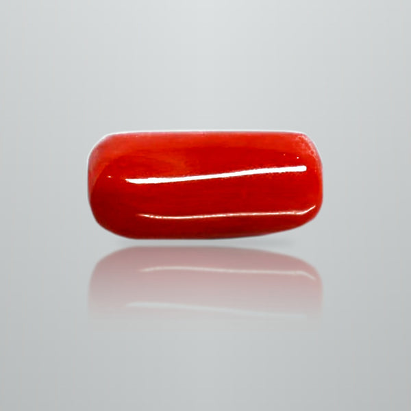 Natural Italian Red Coral (Moonga) cylindrical specimen, report no. 12992D53457