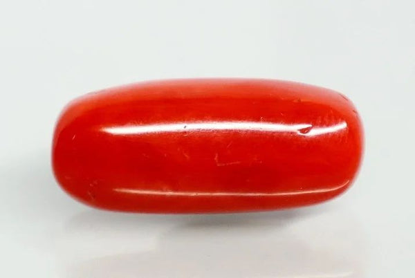 Natural Red Italian Coral |16H50| Oval Cabochon | Govt. Lab Certified | Report No. 12992D53465
