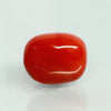 Natural Red Italian Coral |16H50| Oval Cabochon | Govt. Lab Certified | Report No. 12992D53471