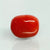 Natural Red Italian Coral |16H50| Oval Cabochon | Govt. Lab Certified | Report No. 12992D53471