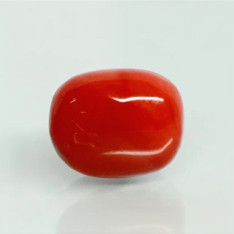 Natural Red Italian Coral |16H50| Oval Cabochon | Govt. Lab Certified | Report No. 12992D53471