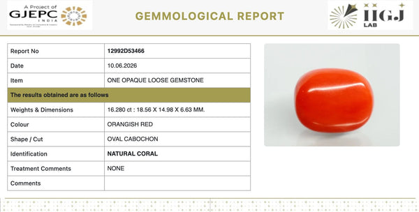 Natural Red Italian Coral |16H50| Oval Cabochon | Govt. Lab Certified | Report No. 12992D53466