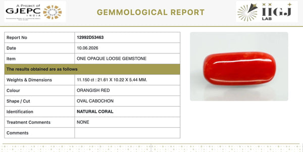 Natural Red Italian Coral |12H50| Oval Cabochon | Govt. Lab Certified | Report No. 12992D53463