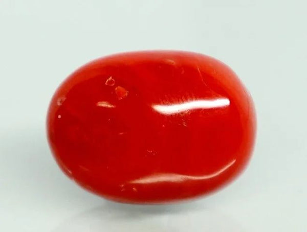 Natural Red Italian Coral |12H50| Oval Cabochon | Govt. Lab Certified | Report No. 12992D53470